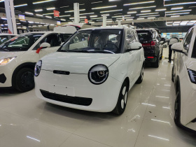 长安启源 长安Lumin 2025款 205km 香沁款