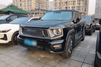 哈弗大狗 PLUS 2023款 1.5T 两驱潮野版Plus