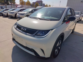 比亚迪 海豚 2025款 420km 自由版