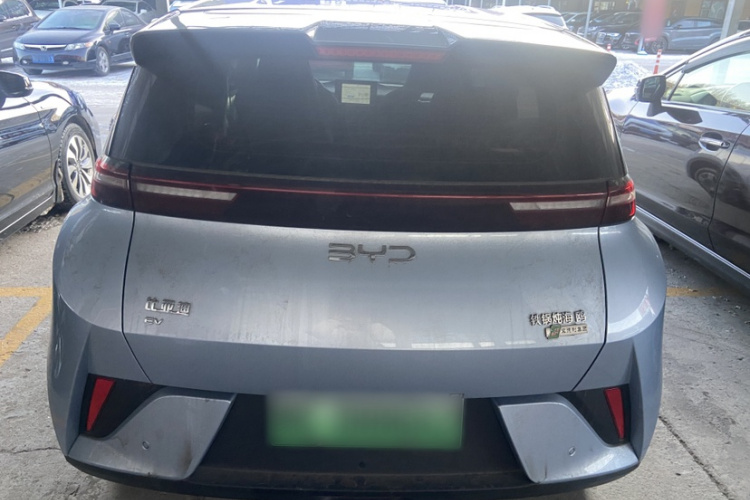 比亚迪 海鸥 2025款 智驾版 305km 活力版车身外观6005