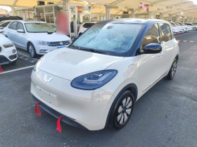 五菱汽车 五菱缤果 2023款 333km 灵犀互联款