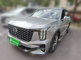 广汽传祺 传祺GS8 2025款 领航系列 2.0TGDI 两驱豪华版 5座