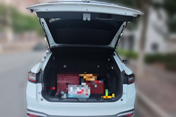 大众 ID.4 X 2023款 纯净长续航版局部细节23