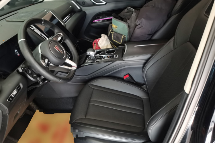 红旗HS3 PHEV 2024款 PHEV 115km 劲为版局部细节19