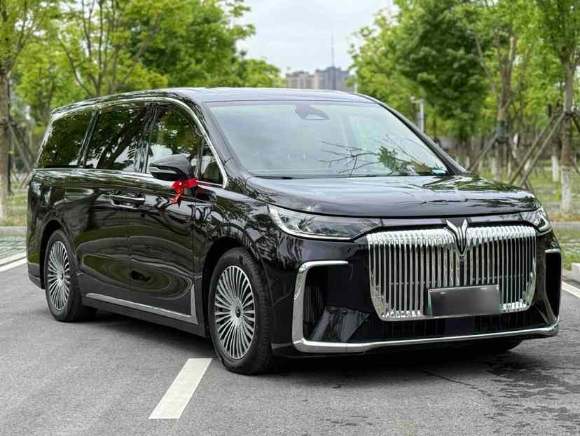 岚图汽车 岚图梦想家 2025款 PHEV 四驱旗舰鲲鹏版(5)