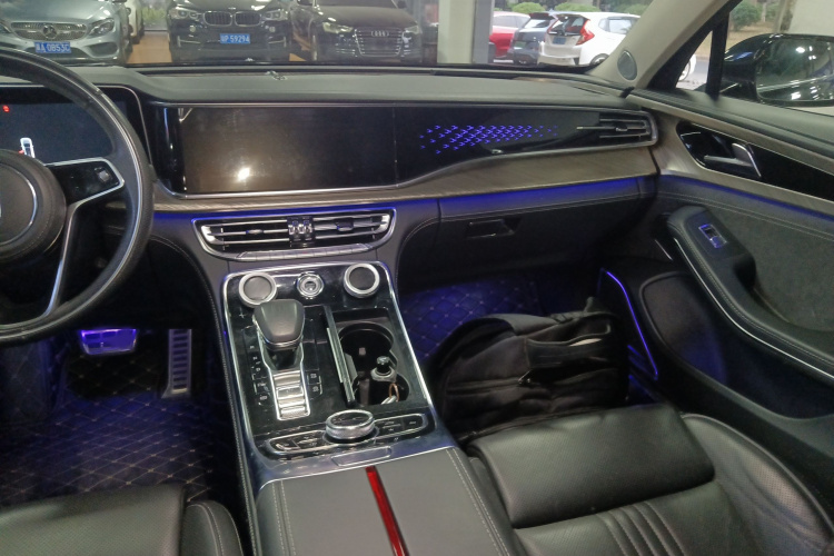 红旗H9 2020款 2.0T 智联旗畅版局部细节16