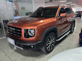 哈弗大狗 2021款 2.0T DCT两驱中华猎犬版