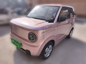 吉利银河 2024款 熊猫mini 200km 耐力熊