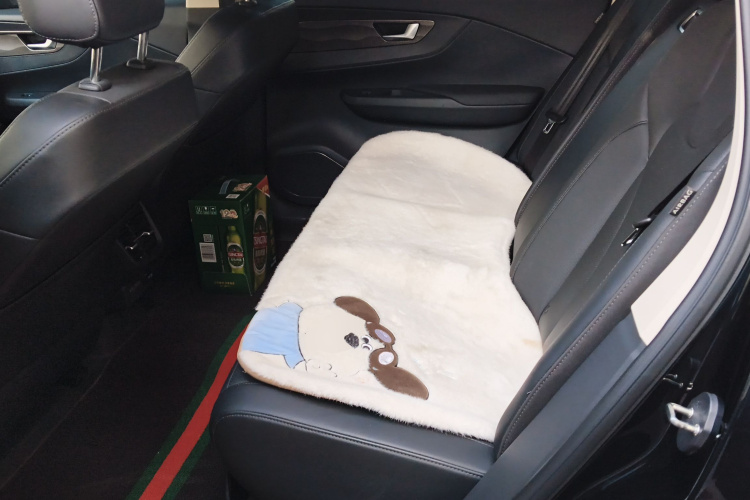 红旗E-QM5 2023款 基础出行版中控内饰7004