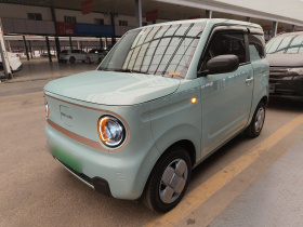 吉利银河 2024款 熊猫mini 200km 龙腾PRO版