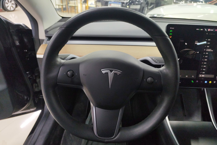 特斯拉 Model 3(进口) 2019款 长续航全轮驱动版局部细节13