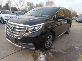 广汽传祺 传祺M8 2020款 390T 尊贵版