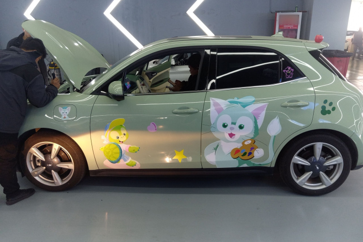 欧拉好猫 2022款 400km标准续航 尊贵型 磷酸铁锂车身外观6003