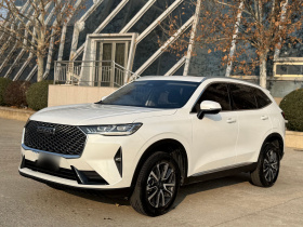 哈弗H6 2021款 第三代 1.5T 自动两驱Max