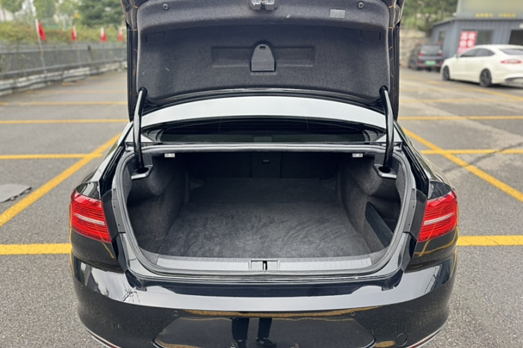 大众 迈腾 2019款 330TSI DSG 豪华型 国VI中控内饰7009