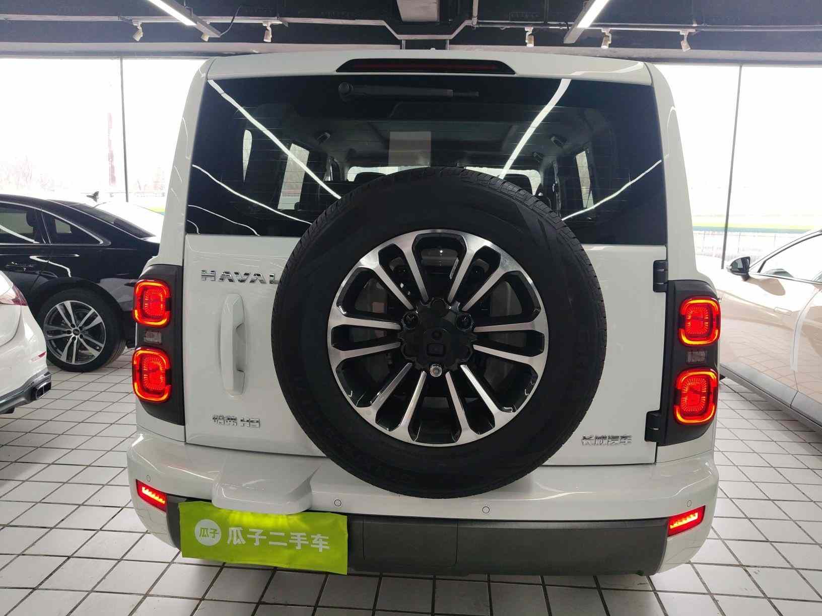 哈弗H9 2024款 2.0T 汽油四驱拓境版(4)