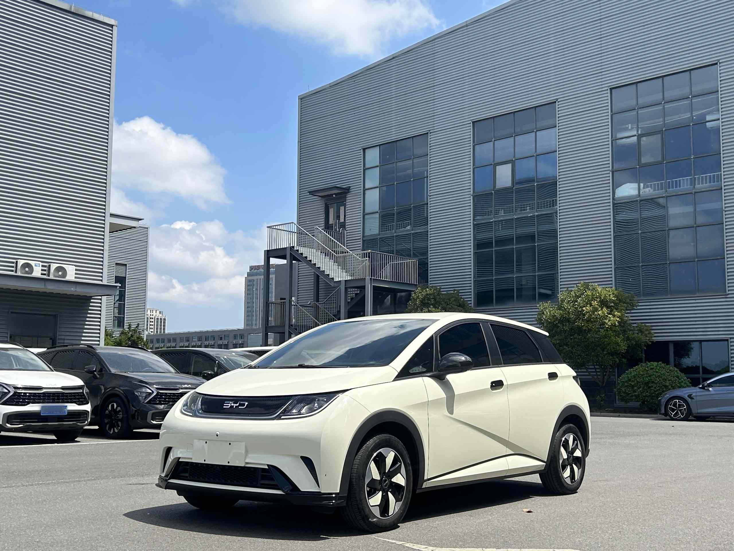 比亚迪 海豚 2025款 420km 自由版(4)