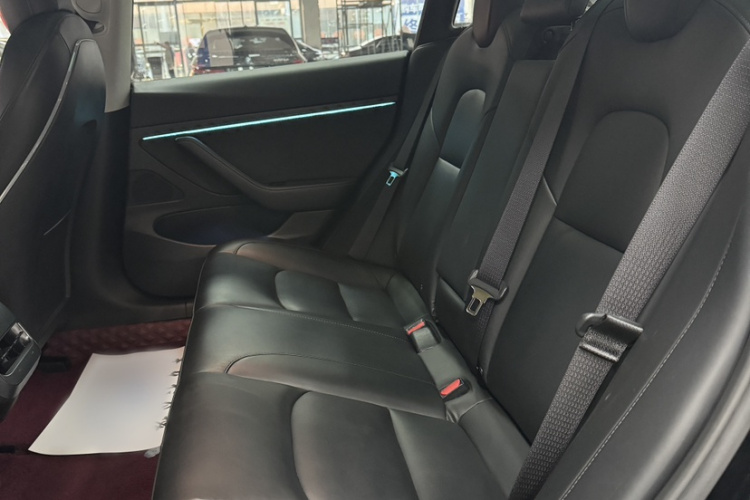 特斯拉 Model 3 2020款 长续航后轮驱动版中控内饰7004