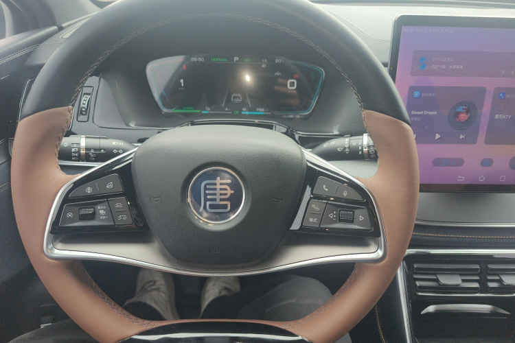 比亚迪 唐新能源 2023款 DM-i 冠军版 112KM 尊荣型局部细节13