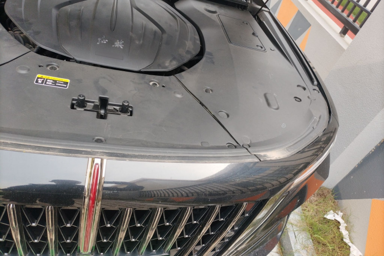 红旗H9 2024款 2.0T 旗享 私享风尚版局部细节9007