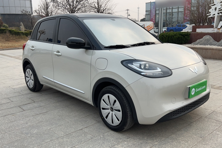 五菱汽车 五菱缤果 2024款 203km 轻享款车身外观6004