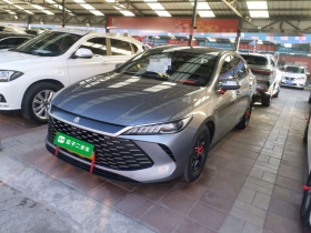 比亚迪 秦PLUS 2025款 DM-i 智驾版 55KM领先型