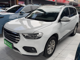 哈弗H6 2021款 运动版 1.5T 自动精英智联型 六边形格栅