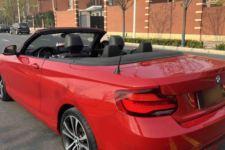 宝马2系(进口) 2019款 225i 敞篷轿跑车 运动设计套装车身外观6013