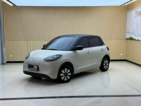 五菱汽车 五菱缤果 2024款 333km 悦享款