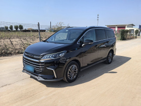 上汽大通MAXUS 大通G50 2019款 1.5T 自动豪华版 国VI