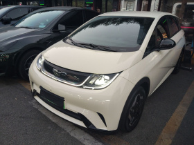 比亚迪 海豚 2021款 405km 自由版