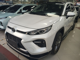 丰田 威兰达 2023款 2.0L CVT四驱豪华PLUS版