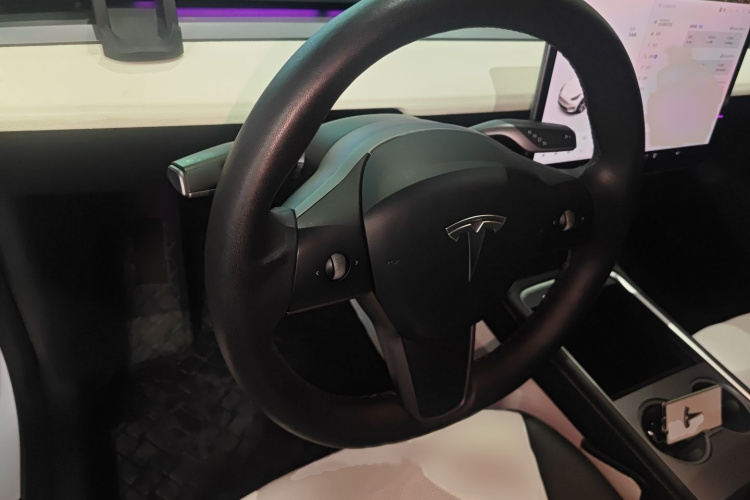 特斯拉 Model Y 2021款 长续航全轮驱动版局部细节13