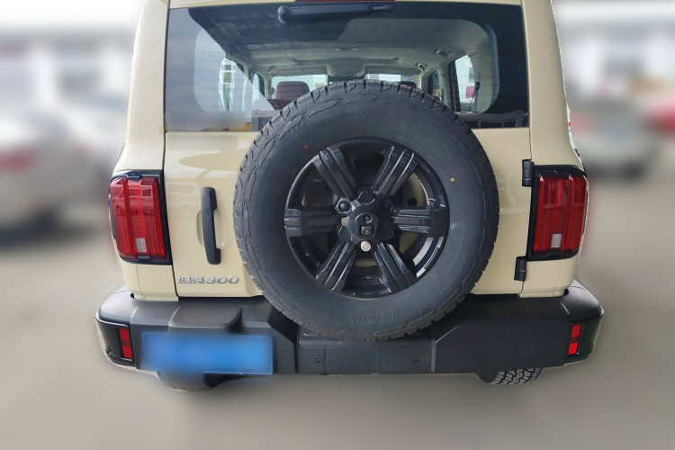 坦克300 2025款 2.0T 征服者车身外观6004