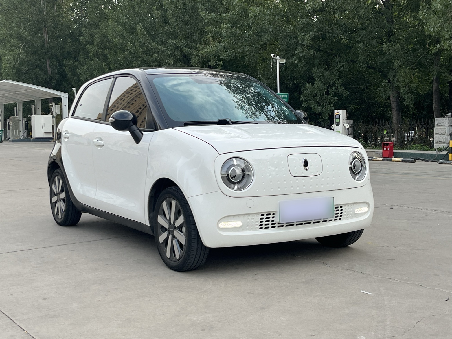 欧拉黑猫 2021款 351km 标准型