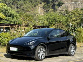 特斯拉 Model Y 2022款 后轮驱动版