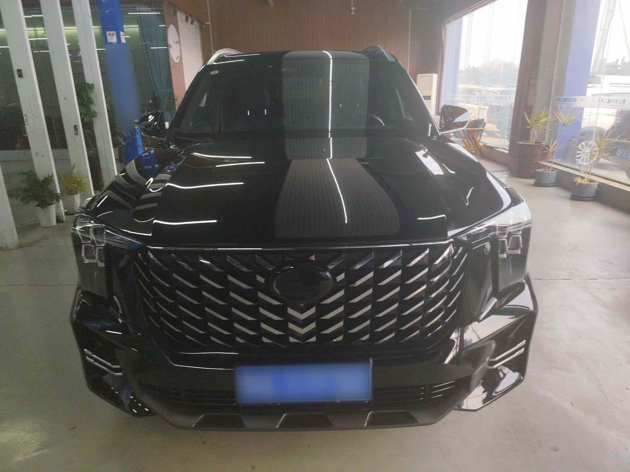 广汽传祺 传祺GS8 2025款 领航系列 2.0TGDI 两驱豪华版 5座(1)