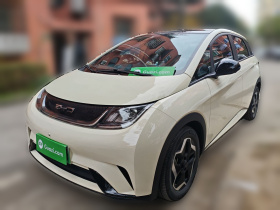 比亚迪 海豚 2021款 405km 时尚版