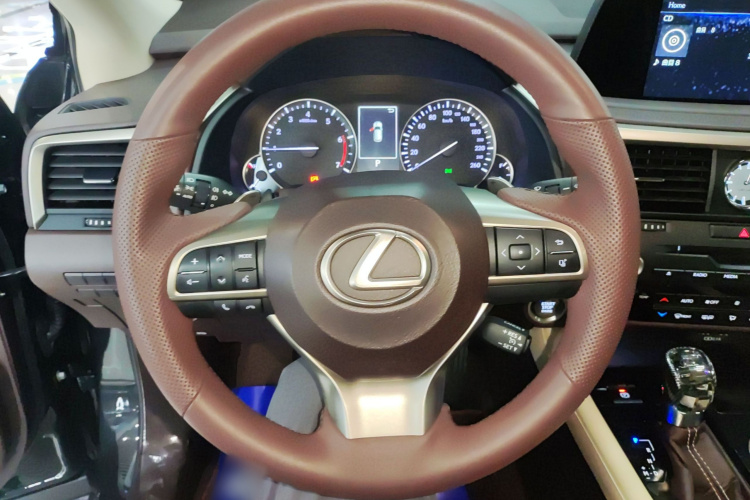 雷克萨斯RX 2020款 300 两驱精英版 国VI中控内饰13