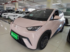 比亚迪 海鸥 2024款 荣耀版 305km 自由版