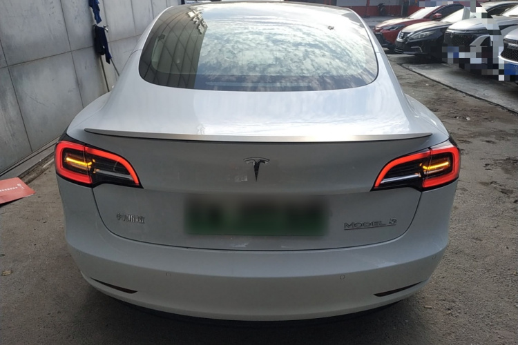 特斯拉 Model 3 2021款 Performance高性能全轮驱动版车身外观6004