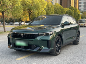 岚图汽车 岚图FREE 2025款 318 318km 后驱环游版