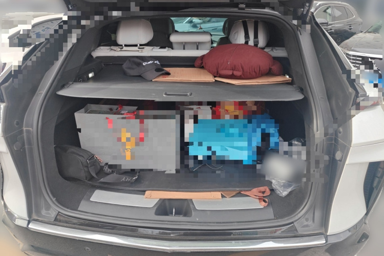 凯迪拉克 IQ锐歌 2022款 后驱长续航豪华版局部细节23