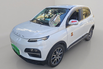 大运 悦虎 2021款 32.85kWh 两驱精灵版