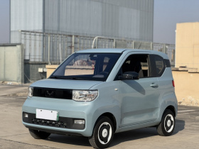 五菱汽车 宏光MINIEV 2022款 自在款 磷酸铁锂