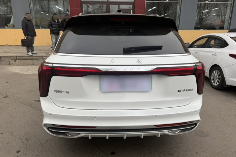 红旗E-HS9 2021款 510km 旗畅版 六座车身外观6004