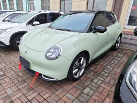 欧拉好猫 2022款 莫兰迪版 400km标准续航 豪华型 磷酸铁锂