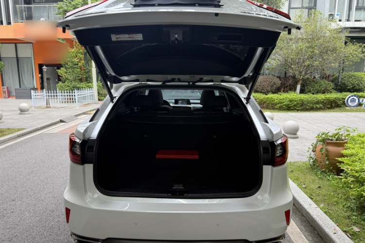 雷克萨斯RX 2016款 300 四驱典雅版 国V局部细节23