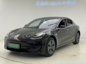 特斯拉 Model 3 2020款 标准续航后驱升级版