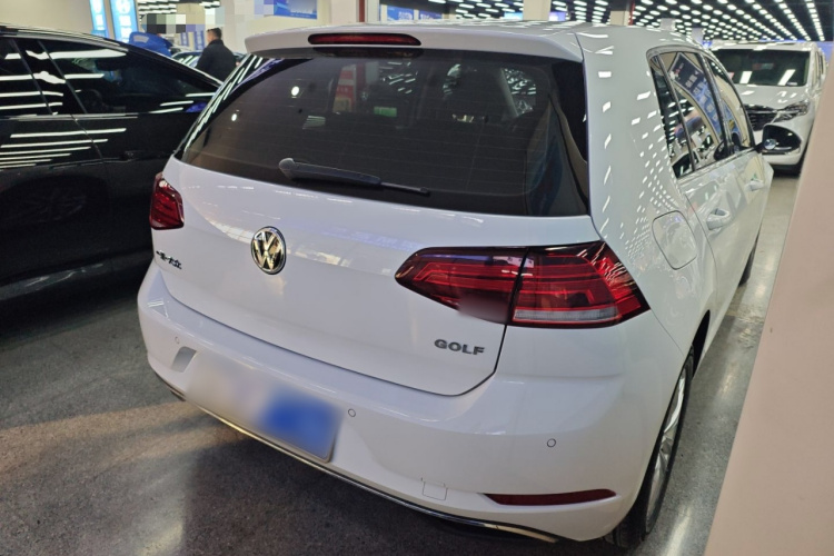 大众 高尔夫 2018款 1.6L 自动舒适型车身外观6005